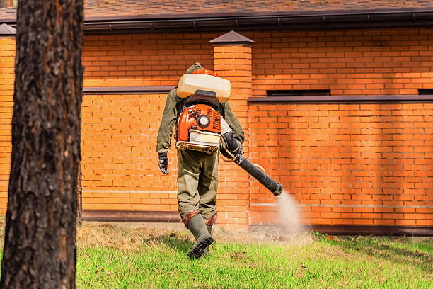 Trusted Bed Bug Control service in Oelwein, IA - Nex Pest Control